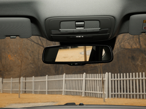 201920T Trophy Ab ܇ȺҕR