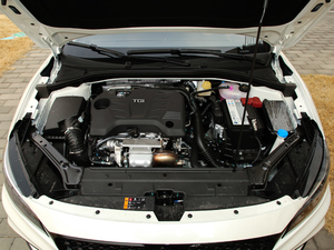 201920T Trophy Ab l(f)(dng)C(j)