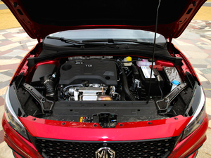 201920T Trophy Ab lәC