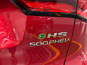 2020e-Trophy (x)(ji)^