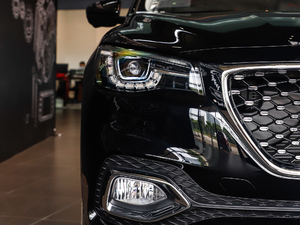 201930T ԄӃTrophyȼ VI ^