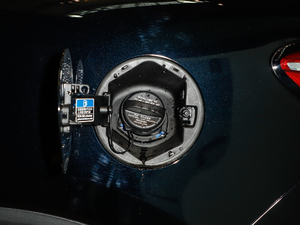 201930T ԄӃTrophyȼ VI ^