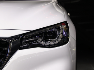 201920T ԄӃTrophyܰ VI 