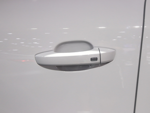 201920T ԄӃTrophyܰ VI {T