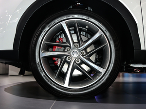 201920T ԄӃTrophyܰ VI ݆Ȧ