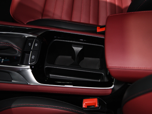 201920T ԄӃTrophyܰ VI g