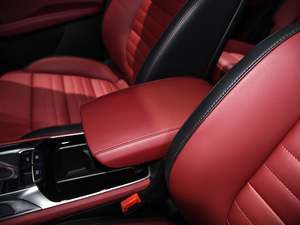 201920T ԄӃTrophyܰ VI 