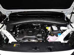 201920T Ԅ(dng)(q)Trophyܰ (gu)VI l(f)(dng)C(j)