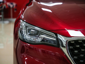 201920T ԄӃTrophyܰ VI ^