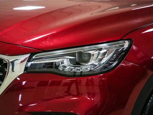 201920T ԄӃTrophyܰ VI ^