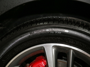 201920T ԄӃTrophyܰ VI ^