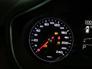 201920T ԄӃTrophyܰ VI п؅^