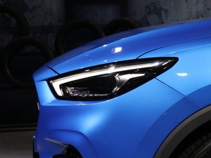 2020260TGI ԄTrophy Pro L2+ (ji)^