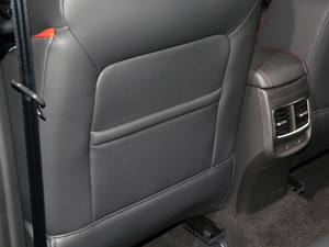 2020260TGI ԄTrophy Pro L2+ g