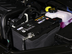 2020260TGI ԄTrophy Pro L2+ 