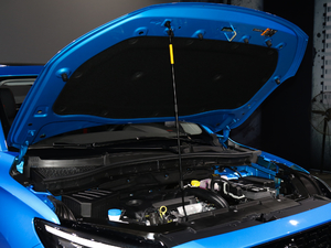 2020260TGI ԄTrophy Pro L2+ 