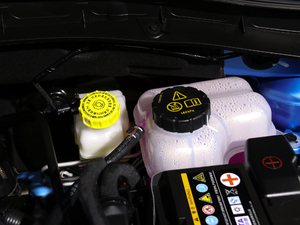 2020260TGI ԄTrophy Pro L2+ 