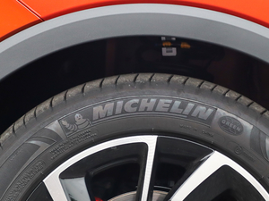 2020260TGI ԄTrophy Pro L2+ ݆̥Ʒ