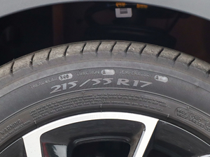 2020260TGI ԄTrophy Pro L2+ ݆̥ߴ