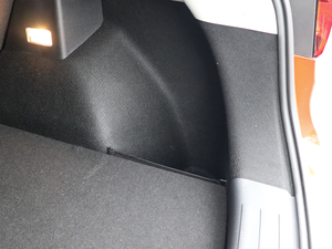 2020260TGI ԄTrophy Pro L2+ g