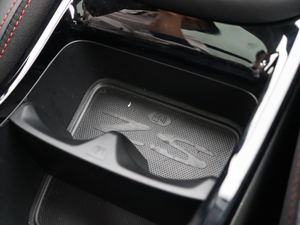 2020260TGI ԄTrophy Pro L2+ g