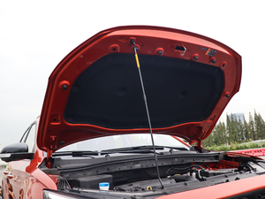 2020260TGI ԄTrophy Pro L2+ 