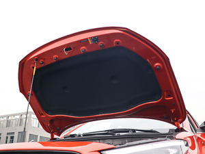 2020260TGI ԄTrophy Pro L2+ 