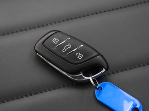 2020260TGI ԄTrophy Pro L2+ ܇耳