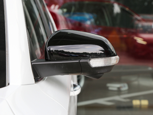 2020260TGI Ԅ(dng)Trophy Pro L2+ (x)(ji)^