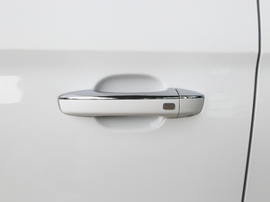 2020260TGI Ԅ(dng)Trophy Pro L2+ {T