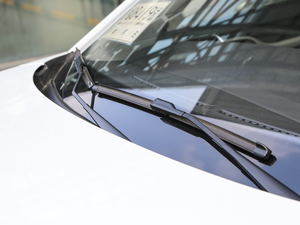 2020260TGI Ԅ(dng)Trophy Pro L2+ ˢ