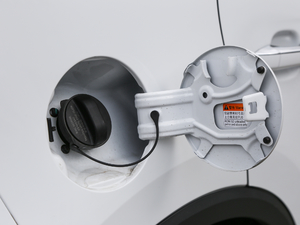 2020260TGI Ԅ(dng)Trophy Pro L2+ w