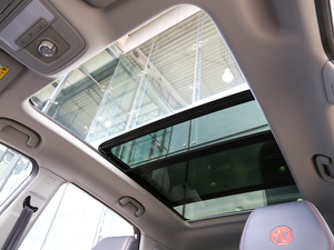 2020260TGI ԄTrophy Pro L2+ g