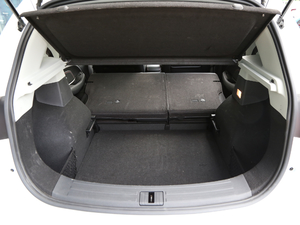 2020260TGI ԄTrophy Pro L2+ g