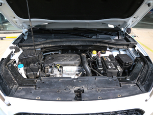 2020260TGI ԄTrophy Pro L2+ lәC