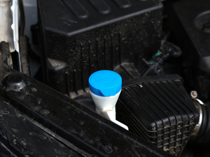 2020260TGI ԄTrophy Pro L2+ 