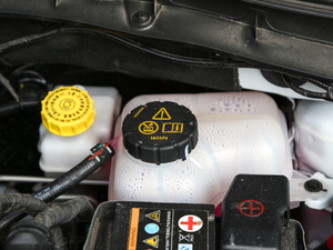 2020260TGI ԄTrophy Pro L2+ 