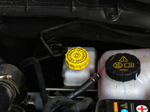 2020260TGI ԄTrophy Pro L2+ 