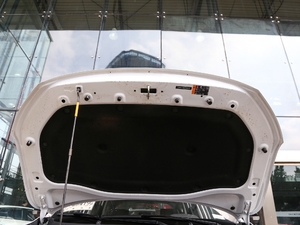 2020260TGI ԄTrophy Pro L2+ 