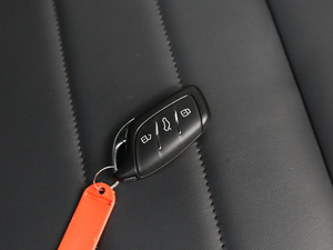 2020260TGI ԄTrophy Pro L2+ ܇耳