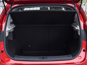 2020ȫfN 1.5L ք65Ļ촰 g