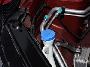 2020ȫfN 1.5L ք65Ļ촰 