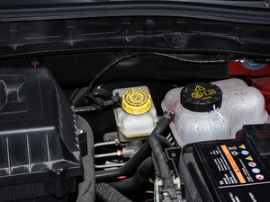 2020ȫfN 1.5L ք65Ļ촰 