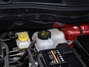 2020ȫfN 1.5L ք65Ļ촰 