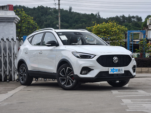 2020260TGI Ԅ(dng)Trophy Plus L2+ w^