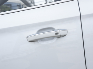 2020260TGI ԄTrophy Plus L2+ {T