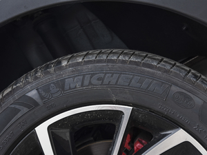 2020260TGI ԄTrophy Plus L2+ ݆̥Ʒ