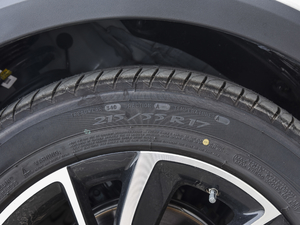 2020260TGI ԄTrophy Plus L2+ ݆̥ߴ