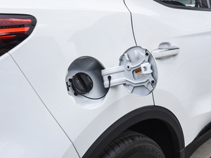 2020260TGI ԄTrophy Plus L2+ w