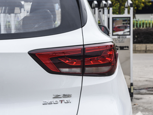 2020260TGI ԄTrophy Plus L2+ β